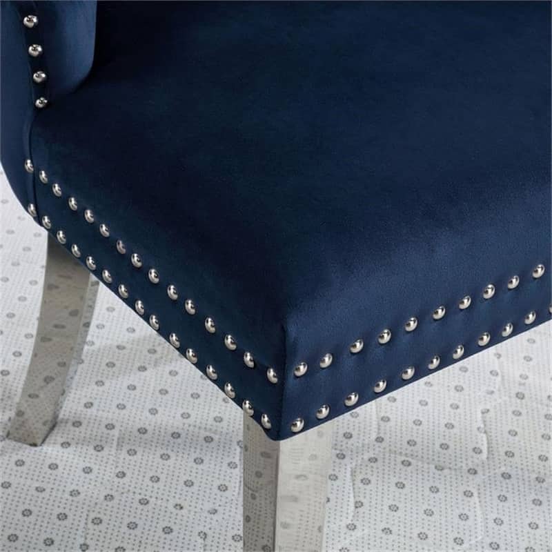 Modern Blue Finish Tufted Side Chairs Set