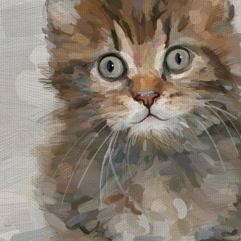 Pretty Kitty IV Canvas Art Print