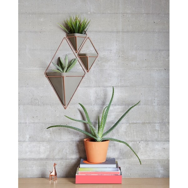 Floral DÃ©cor Great For Su Umbra Trigg Hanging Planter Vase & Geometric