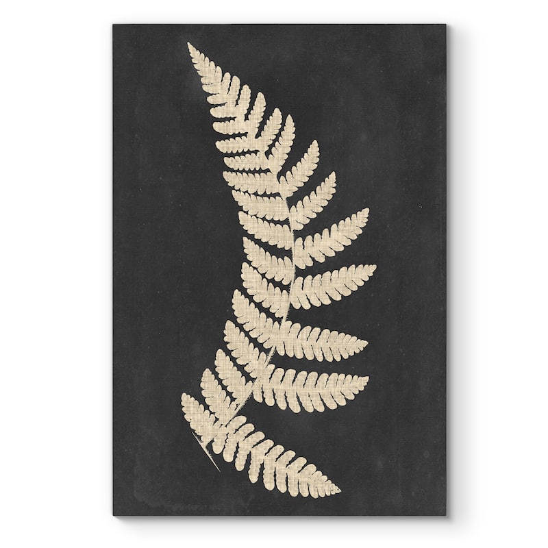 Linen Fern IV -Premium Gallery Wrapped Canvas