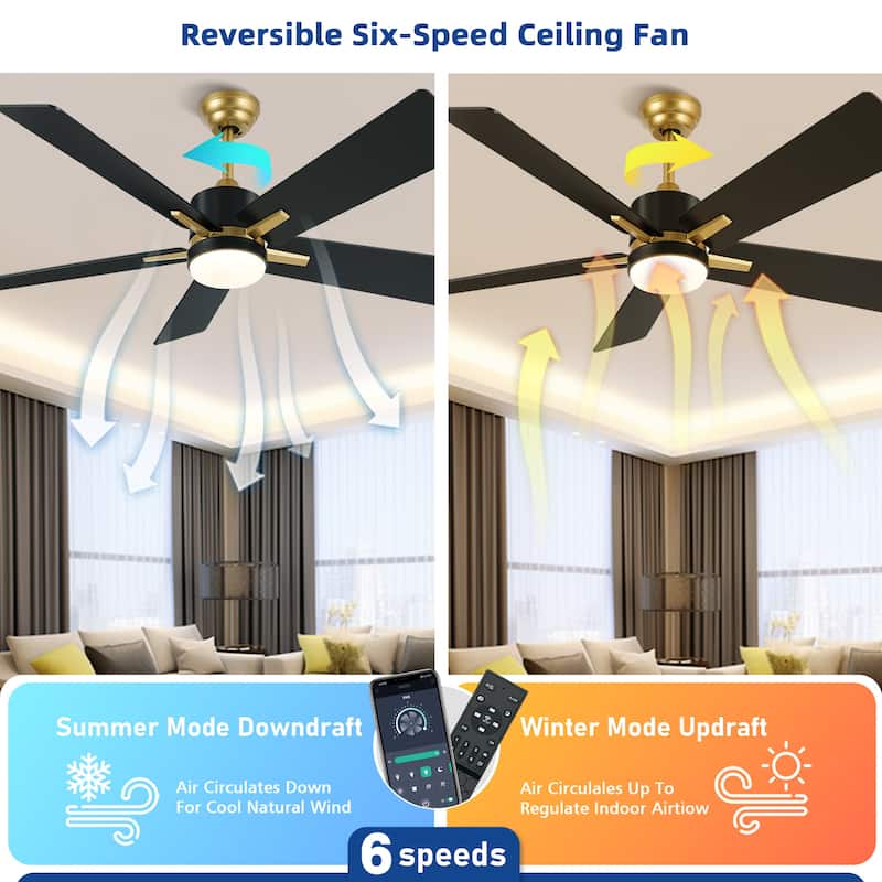 Moasis 52 Inch Dimmable Ceiling Fan with Light Remote and APP Control