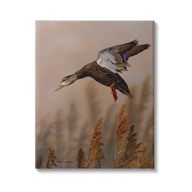 Stupell Duck Flying Photography Canvas Wall Art Design by © Richard Clifton - 30 x 40