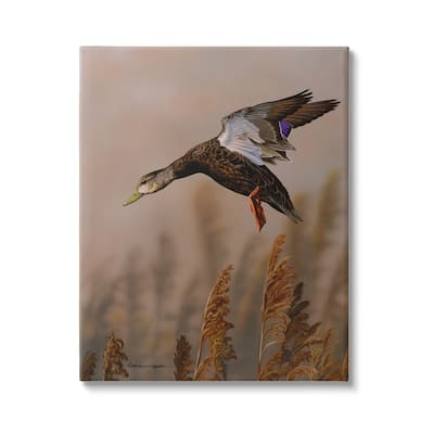 Stupell Duck Flying Photography Canvas Wall Art Design by © Richard Clifton