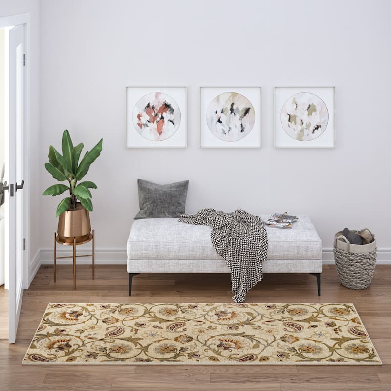 Infinity Transitional Floral Indoor Area Rug