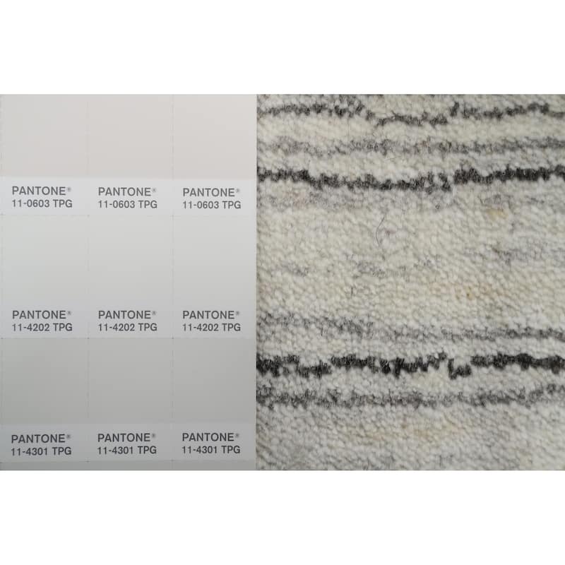 Hand Knotted Oriental 100% Wool Carpet Tribal Animal Pictorial Beige & Ivories Gabbeh Area Rug - 4' 11'' X 3' 0''