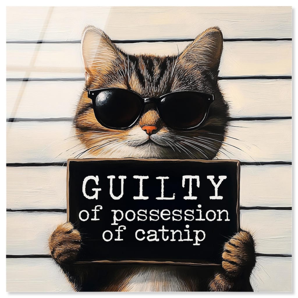 Guilty of Catnip Acrylic by Art Remedy, Ready to Hang
