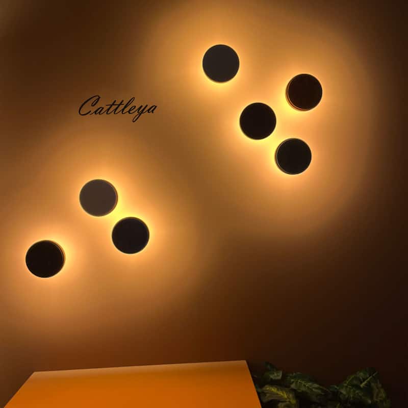 C Cattleya 2-pack Matte Black Aluminum Round Disc LED Indoor Outdoor Wall Sconce