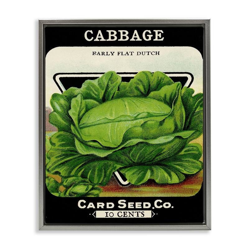 Stupell Vintage Garden Cabbage Framed Floater Canvas Wall Art Design By Lil' Rue - 17 x 21 - Grey