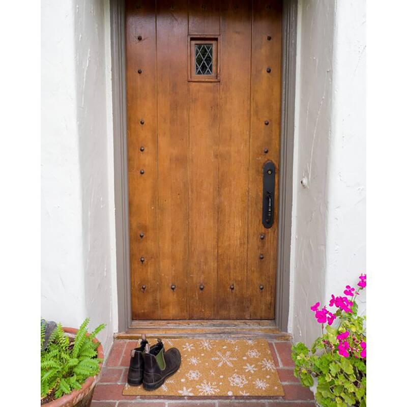 Raisa Snowflake 30" x 16.8" Non-Slip Doormat