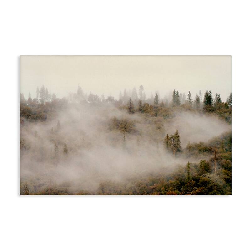 Stupell Morning Fog over Trees Canvas Wall Art Design By Gemma Bardot - 45 x 30