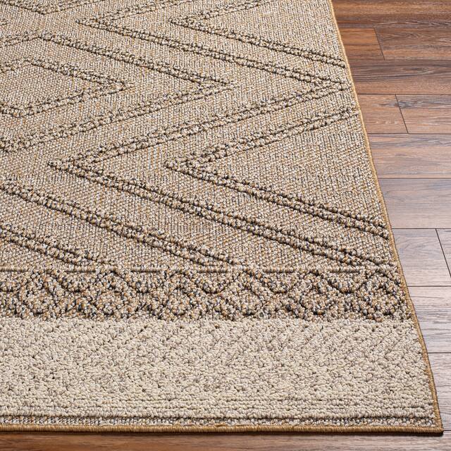Sarasota Outdoor Safe Farmhouse Netural Area Rug