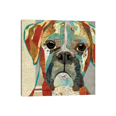 iCanvas "Boxer" by Traci Anderson Canvas Print