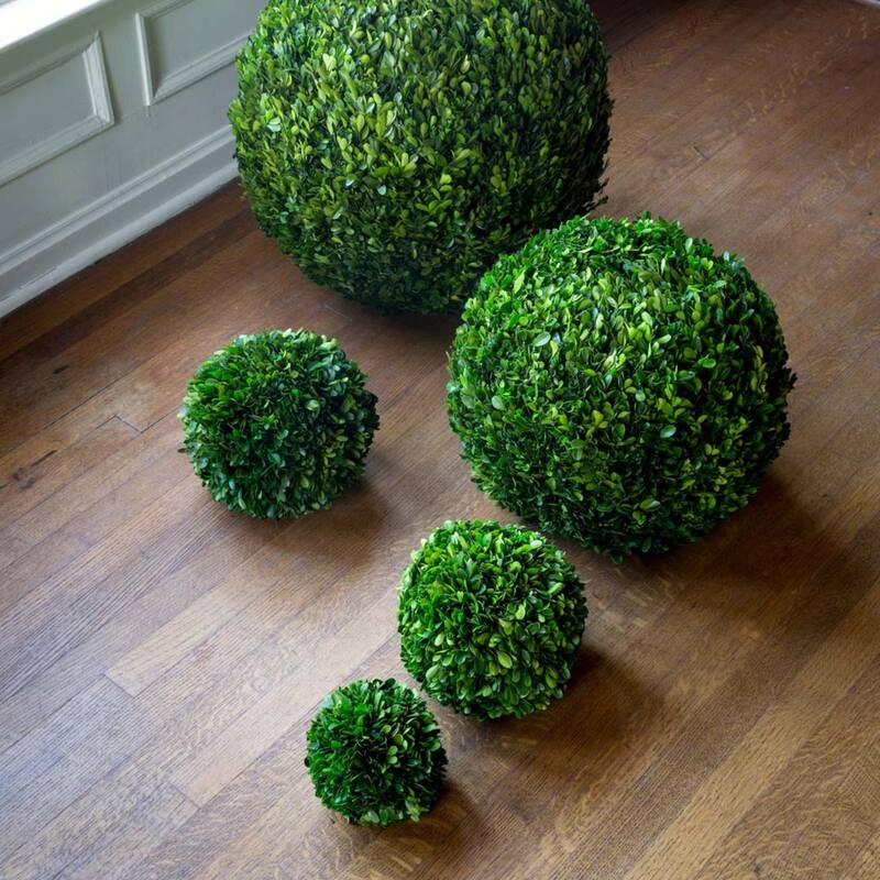 16 Inch Green Preserved Boxwood Ball for Home and Garden Decoration Indoor and Covered Outdoor - 16"L x 16"W x 16"H