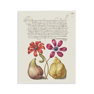 Stupell Vintage Nature Page Wall Plaque Art Design By Grace Popp - Bed ...