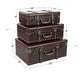 preview thumbnail 8 of 17, Brown Leather Vintage Trunk (Set of 3) - S/3 18", 21", 23"W