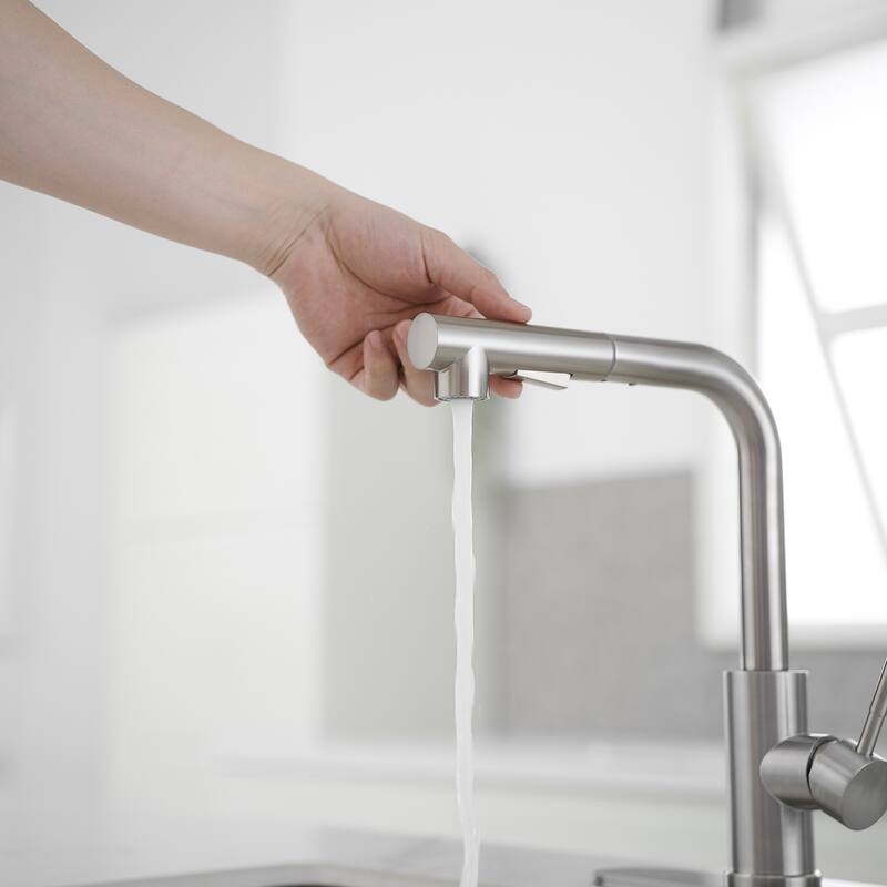 WIZ Pull Out Kitchen Faucet with Pull Down Sprayer