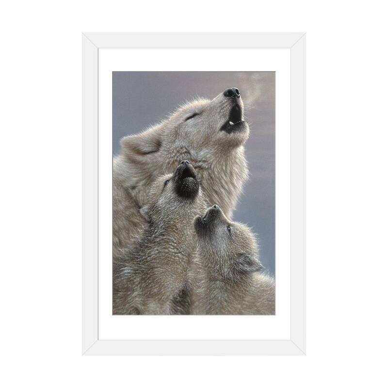 iCanvas "Wolf Singing Lessons" by Collin Bogle - White - 24x16x1