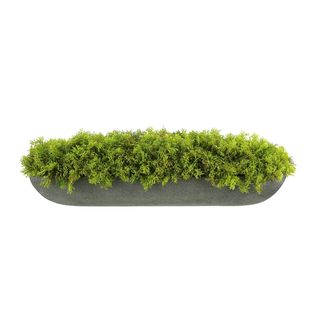 Moss Arrangement in Fiberstone Planter - Green