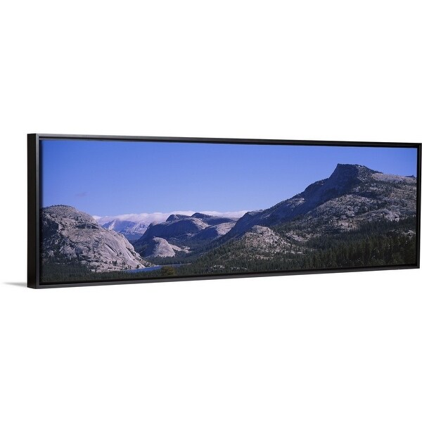 Shop Pine Trees On A Landscape Yosemite National Park