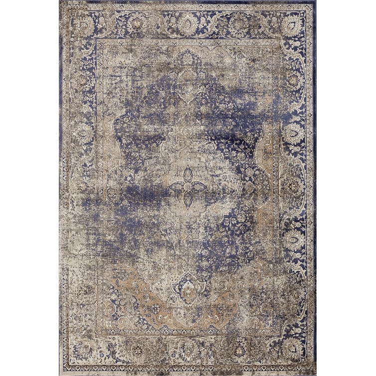 Antique Collection Traditional Area Rug