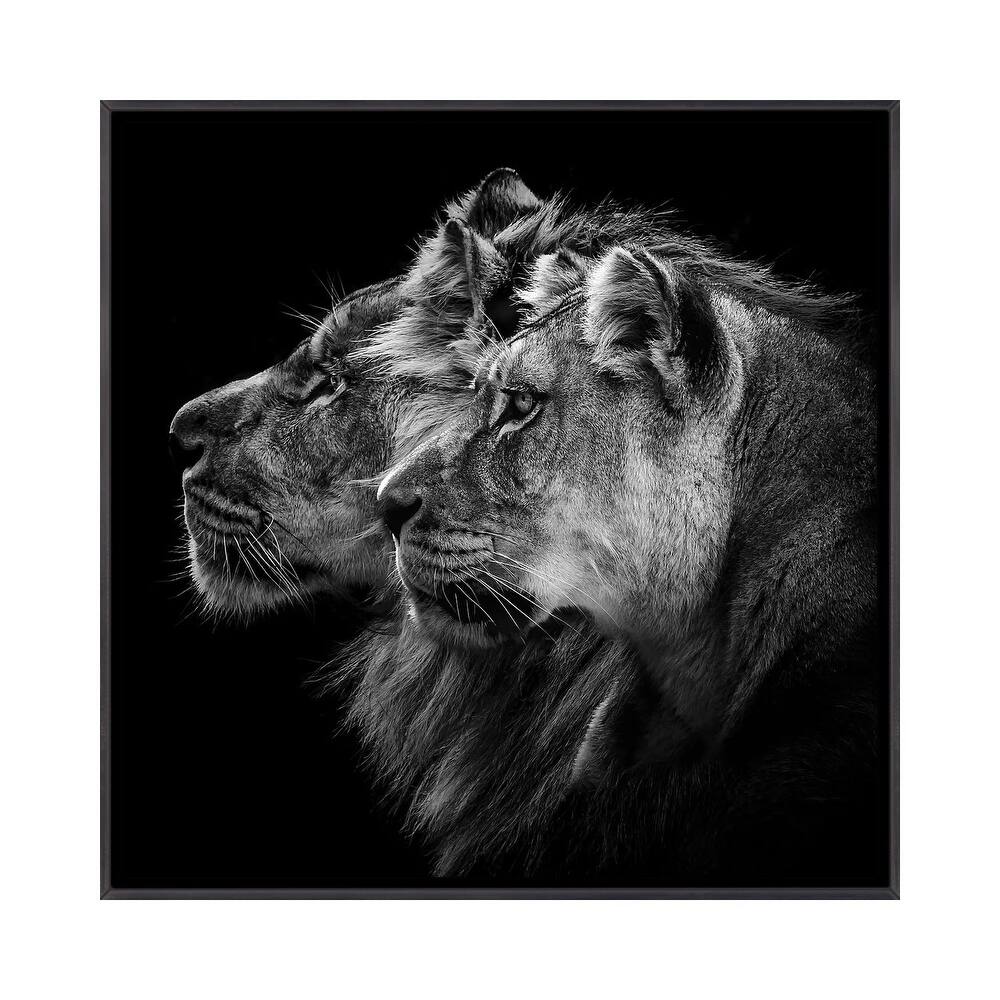 iCanvas "Lion And Lioness Portrait" by Laurent Lothare Dambreville Framed
