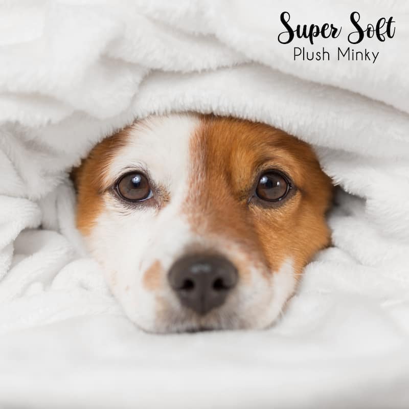 Sweet Jojo Designs Brown and White Doggy Collection Dog Birthday Puppy Milestone Blanket Taupe Paw Print Party Animal Pet Woof