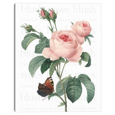 Pink Roses 2 Text by Design Lab Canvas Art Print