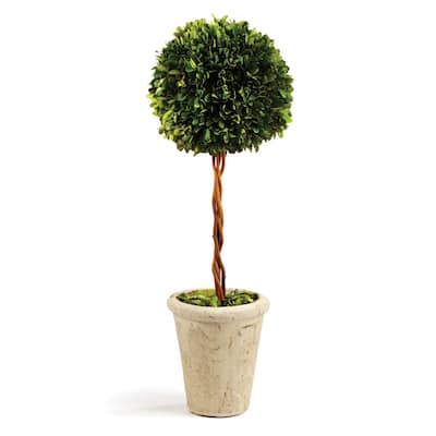 Boxwood Single Sphere Topiary 18.5" - Green