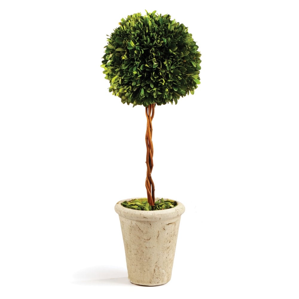 Boxwood Single Sphere Topiary 18.5" - Green