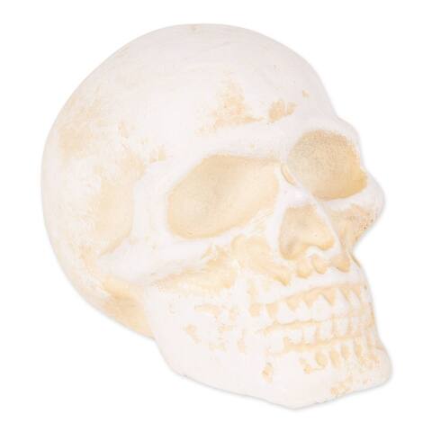 Decor Human Skull Cast Iron Paperweight