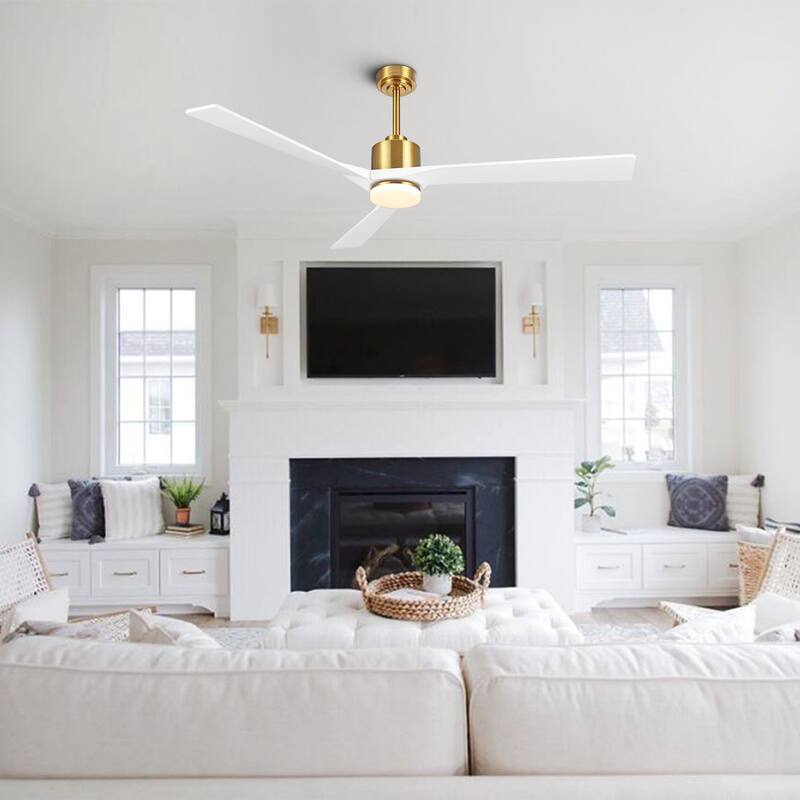 WINGBO 64" DC Motor Indoor Ceiling Fan with LED Light & Remote