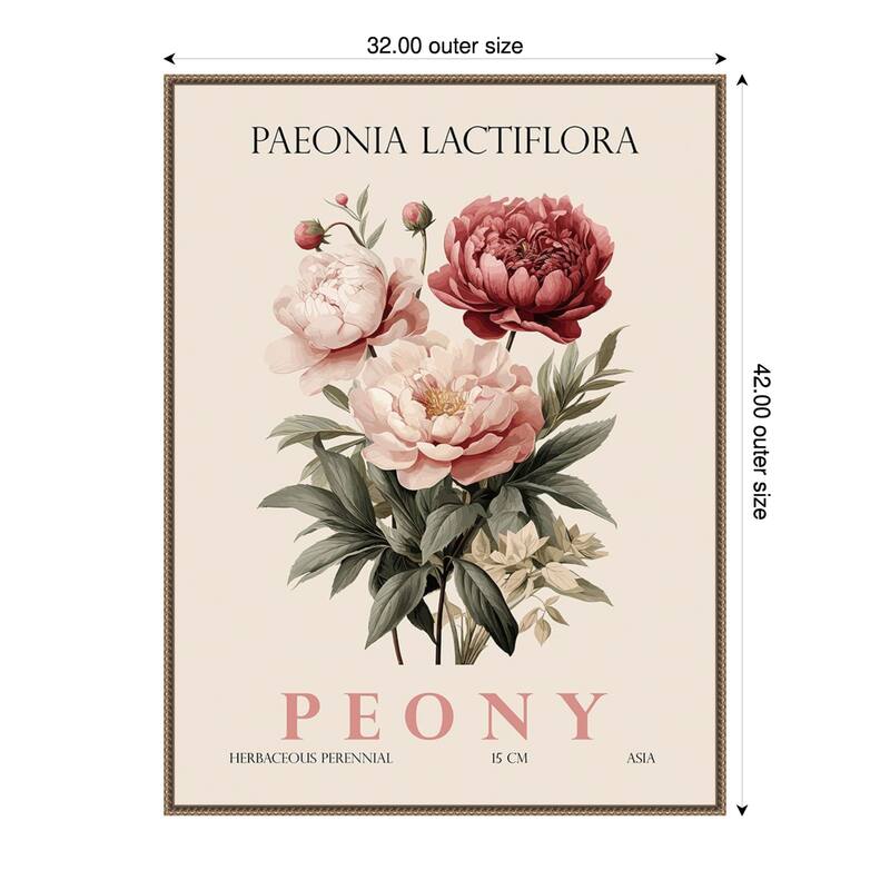 Vintage Botanical Peony Illustration by Christopher Giampietro Framed Canvas Wall Art Print - Gold - 32 x 42 in