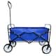 Option Blue
