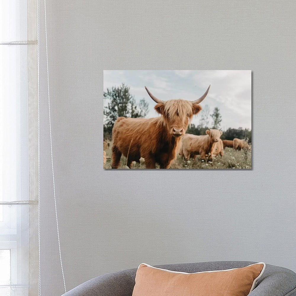 iCanvas "Highland Cow" by Chelsea Victoria Canvas Print