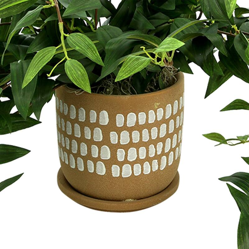 Ivy Arrangement in a Spotted Ceramic Pot - Green