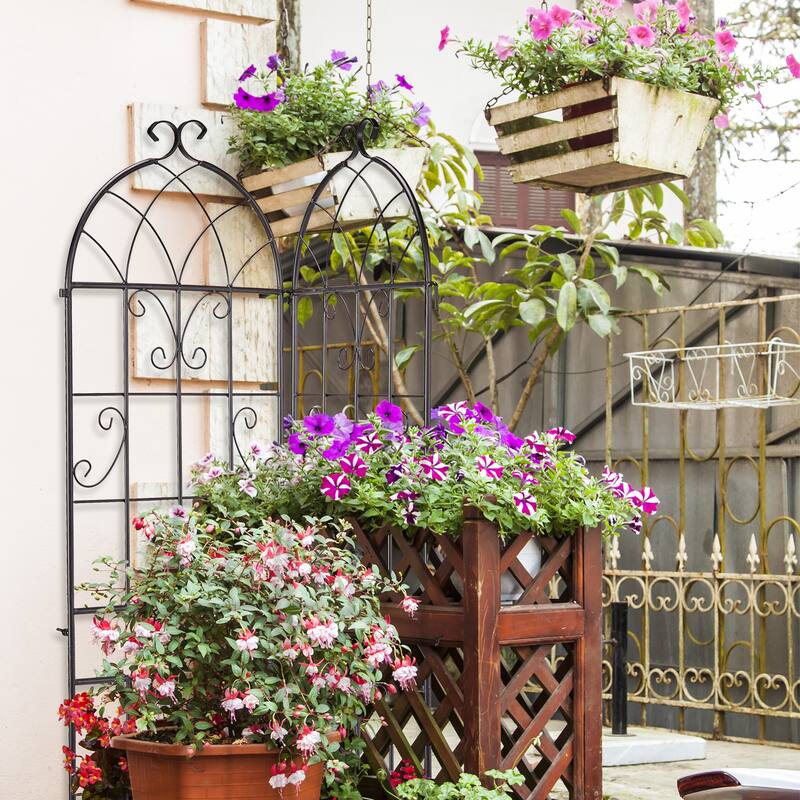 2-Pack Garden Trellis Black Iron 16x61" with Arched Top for Roses Flowers and Vegetable Plants - (16 x 61)" (W x H)