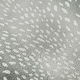 preview thumbnail 23 of 47, Premium Washable Super Soft Animal Print Ombre Mayfield Rug