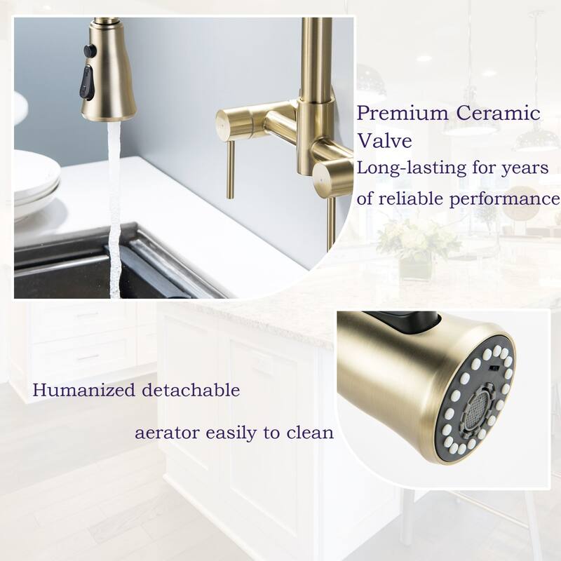 Wall Mounted 3-Way Black/Gold Rotary Kitchen Faucet with Pull Down Sprayer In Stainless Steel