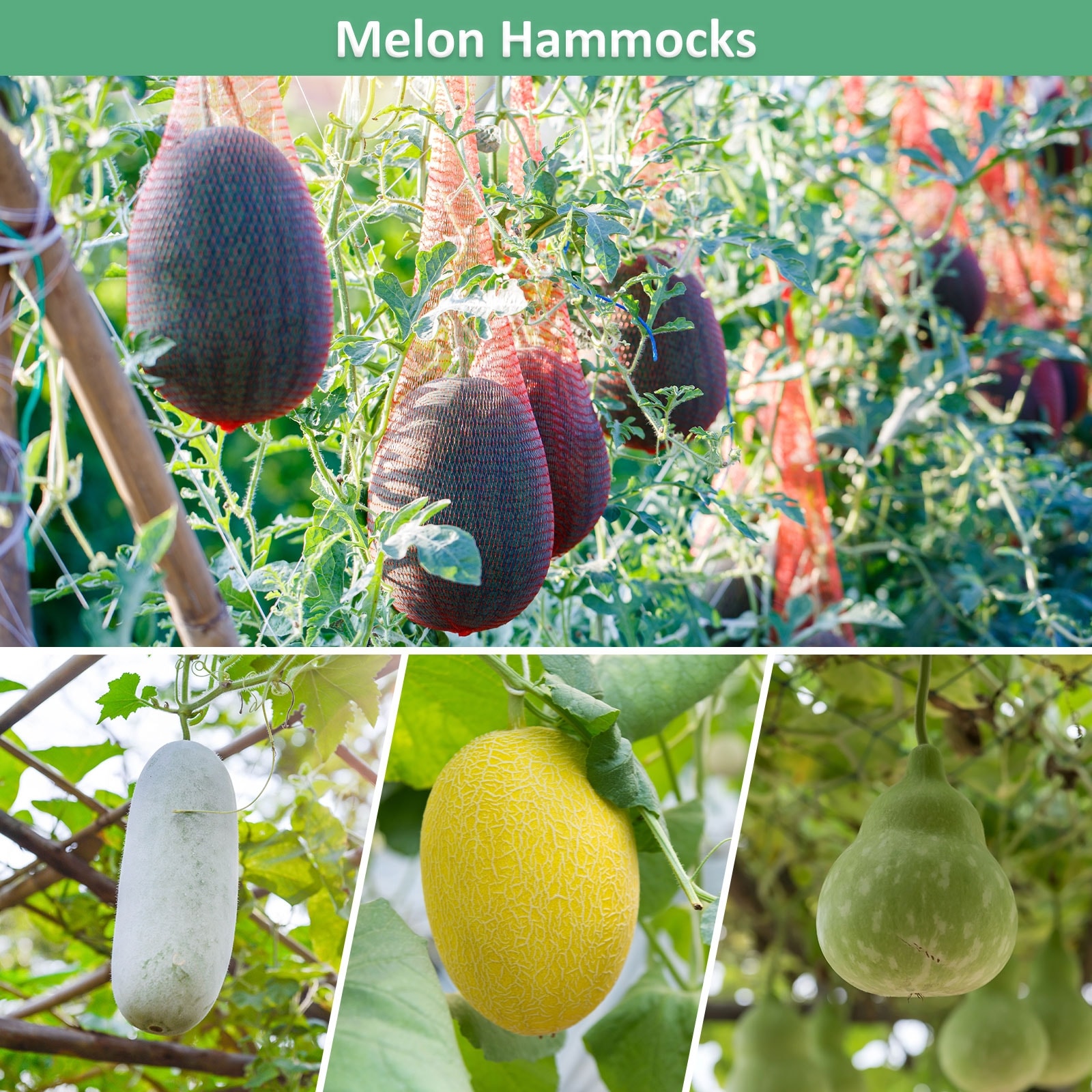 Watermelon Nets - Melon Hammock Hanging Watermelon Support Nets Bags Reusable Melon Nets Melon Hammock for Trellis - Red