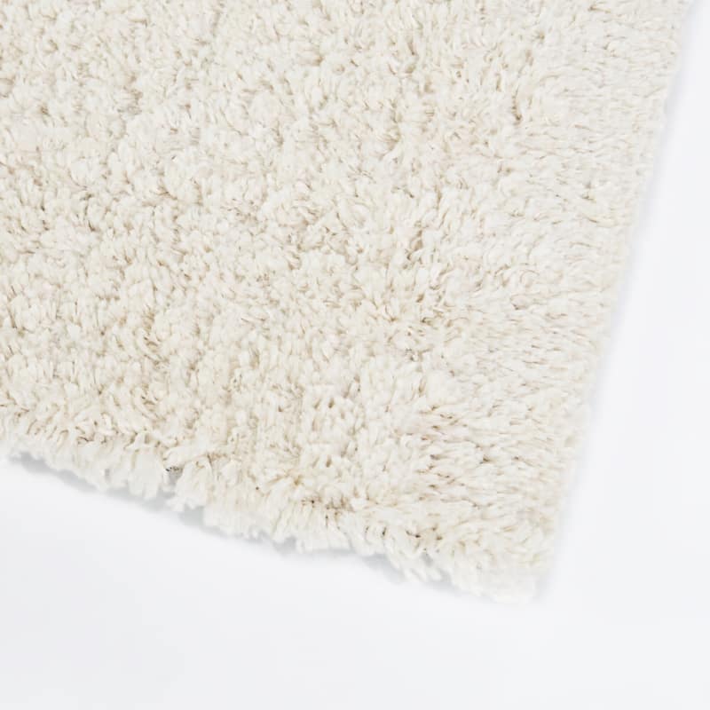 Antonio Color Block Shag Area Rug