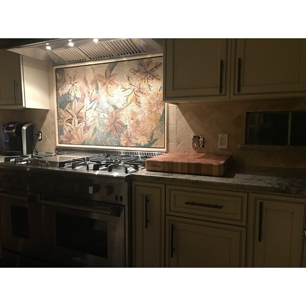 Top Product Reviews for Thor Kitchen 48 Inch Professional Gas ...