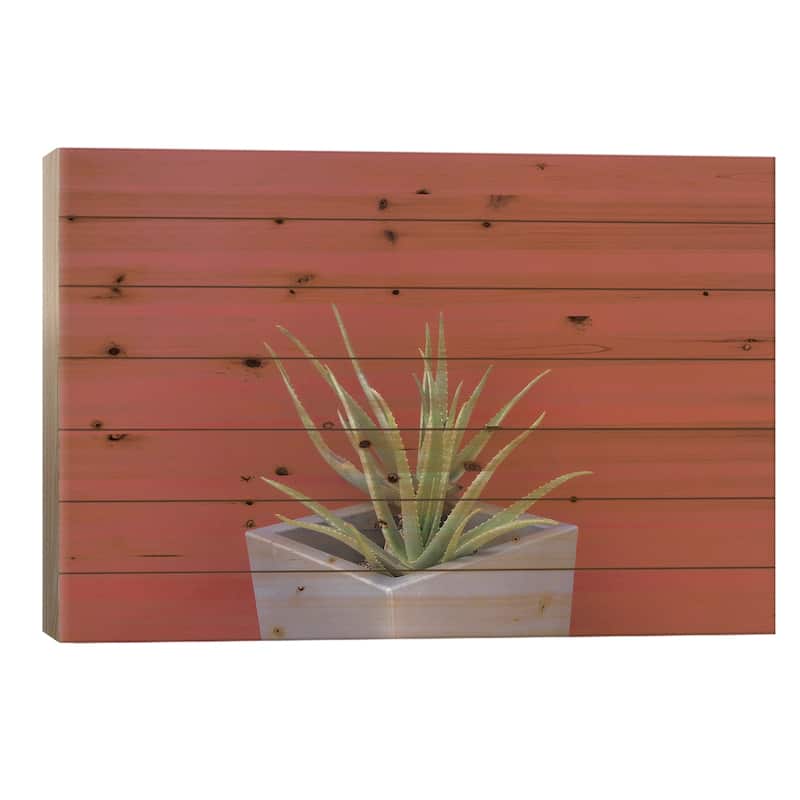 Aloe Vera In A Pot Print On Wood by Anita's & Bella's Art - Multi-Color - 26x40x1.5
