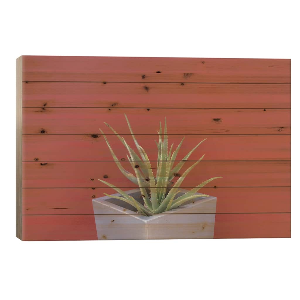 Aloe Vera In A Pot Print On Wood by Anita's & Bella's Art - Multi-Color