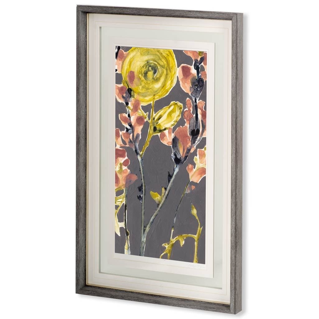 Anemone & Coral II by Jennifer Goldberger a Framed Art Print Matted under Glass