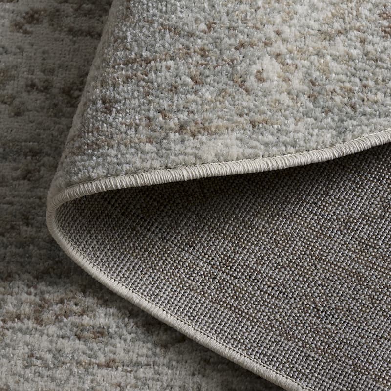 SAFAVIEH Evoke Pety Vintage Distressed Rug