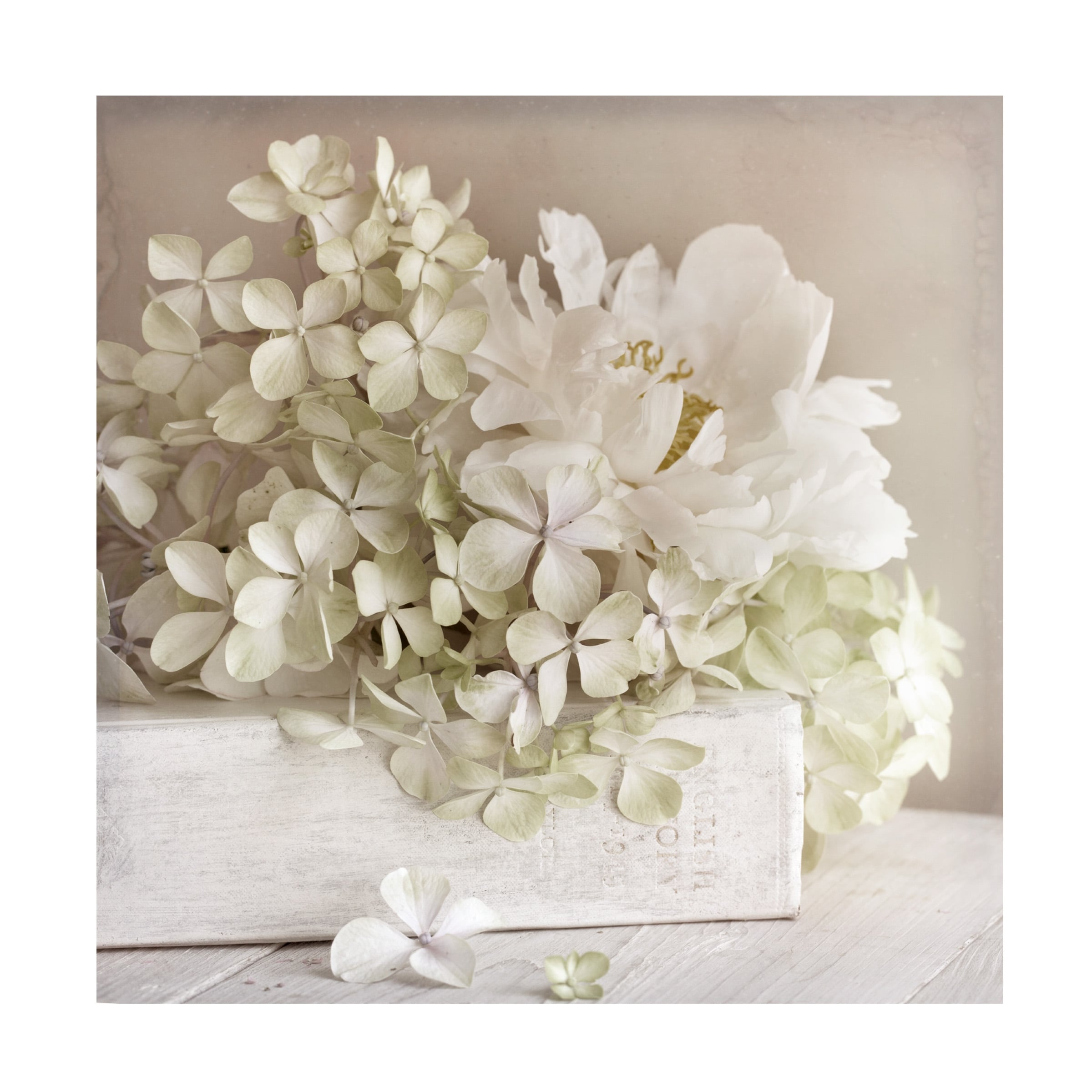 Symposium Design 'White Flower Book' Canvas Art