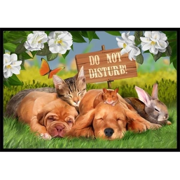 Carolines Treasures PTW2048MAT Golden Retriever And Sharpei Do Not Disturb Indoor & Outdoor Mat 18 x 27 in.