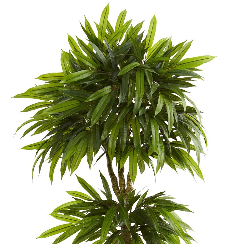 5.5ft Mango Artificial Tree in Black Wash Planter with UV Resistant Green Leaves and Gnarled Trunk for Modern Spaces