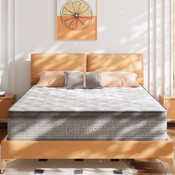 Zinus 14 inch gel memory foam icoil spring mattress 2025