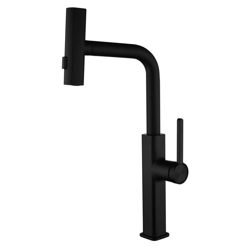 Single Handle Kitchen Faucet with Pull Out Sprayer Single Hole Brass Pull Out Kitchen Sink Faucets Matte Black